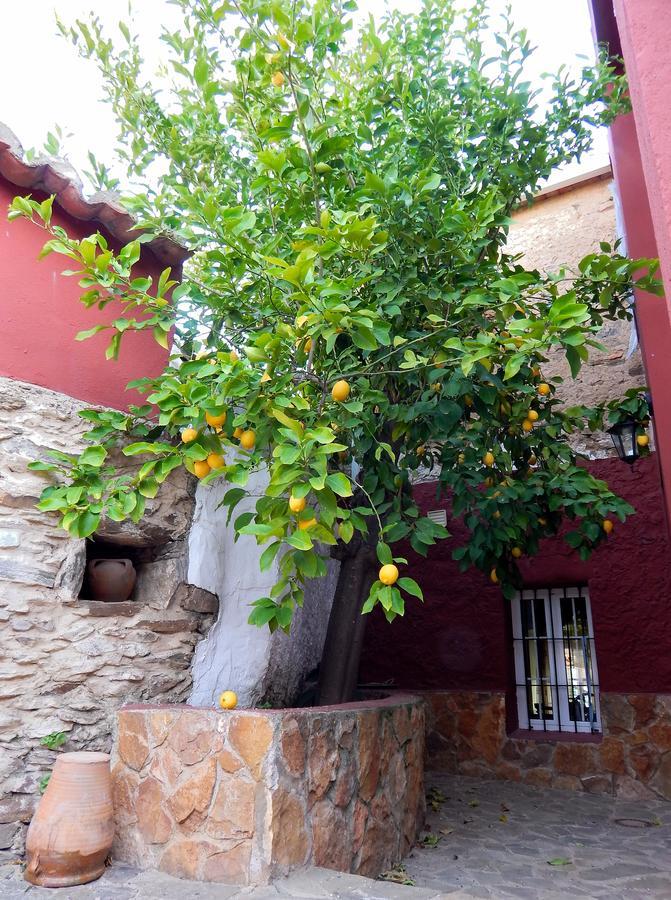 Casa Rural La Perra Gorda Zorita Kültér fotó